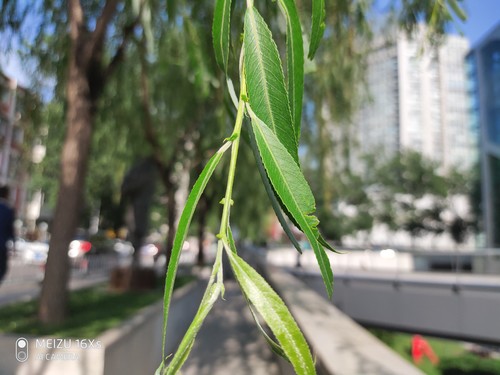 魅族16Xs样张