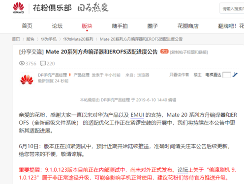 公告详情