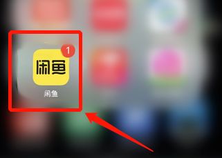 闲鱼怎么联系客服 闲鱼联系客服方法【教程】