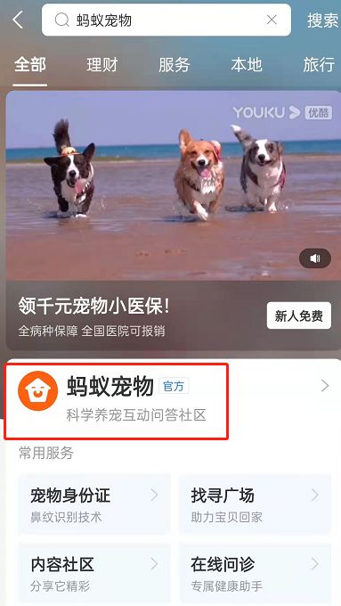 支付宝怎么领取宠物身份证 支付宝领取宠物身份证方法【详解】