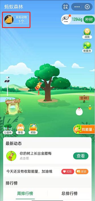 支付宝蚂蚁森林物种保护怎么玩 支付宝蚂蚁森林物种保护玩法介绍【详解】