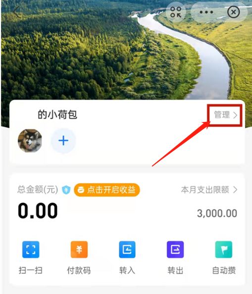 支付宝小荷包怎么调整每月支出限额 支付宝小荷包调整每月支出限额教程【详解】