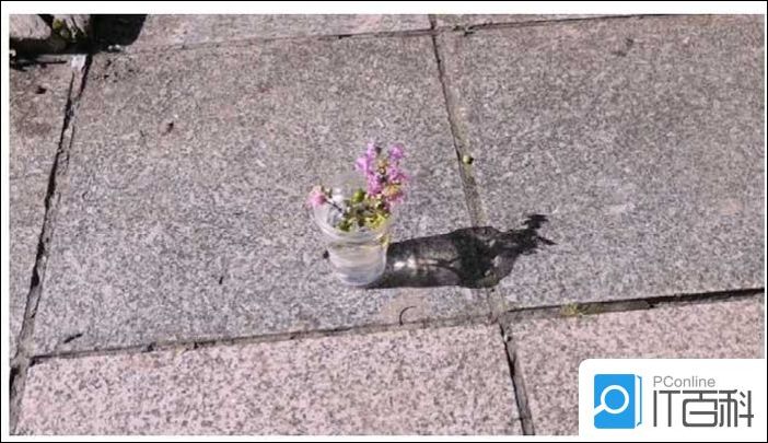 剪映app如何剪辑出神入化的影子效果 剪映出神入化的影子效果剪辑教程【详解】