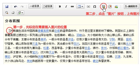 百度百科词条如何添加图片