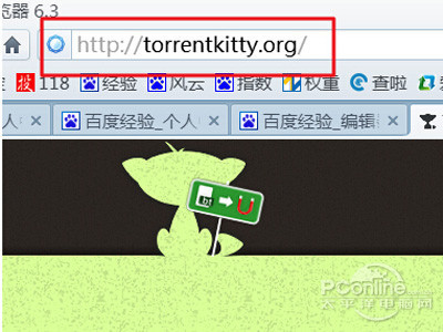 torrentkitty打不开怎么办