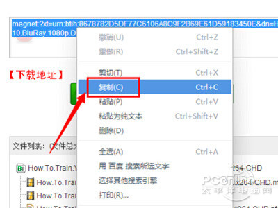 torrentkitty中文网怎么用