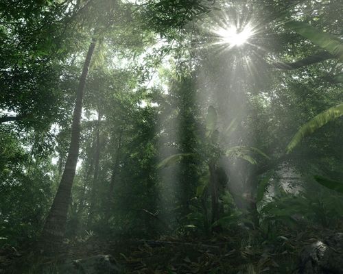 孤岛危机游戏截图