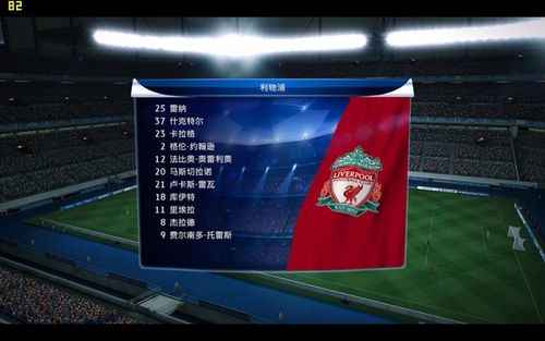 实况足球2010游戏截图