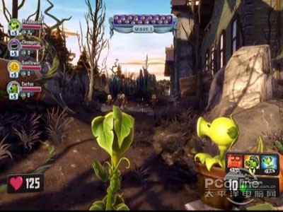 植物大战僵尸：花园战争场景