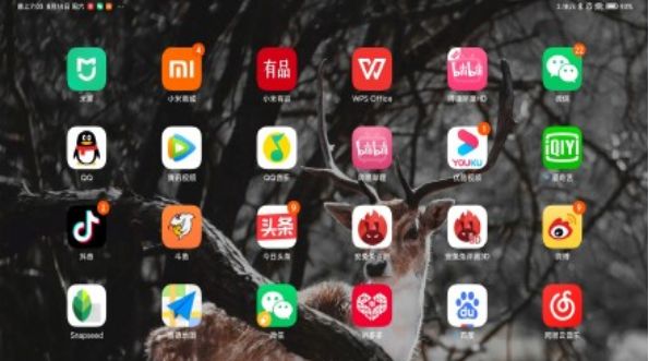 小米平板5如何修改图标大小 小米平板5修改图标大小方法【步骤】