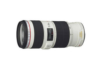 佳能小白和小小白是什么